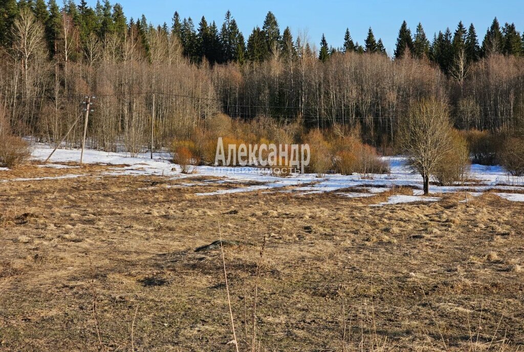 земля р-н Лахденпохский г Лахденпохья ул Полевая фото 4