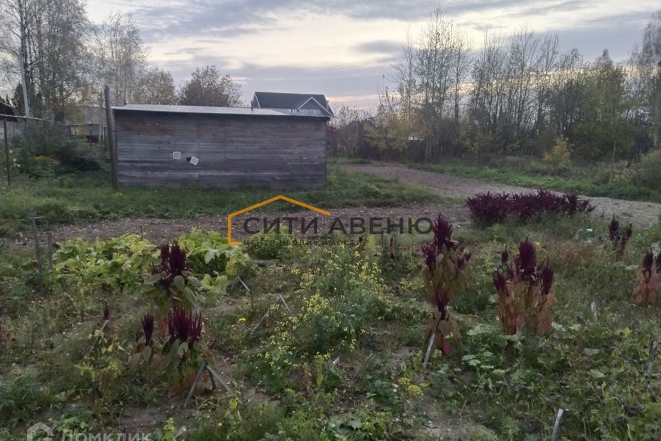 земля р-н Вачский с Дьяково городской округ Семёновский, Нагорная улица, 3А фото 9