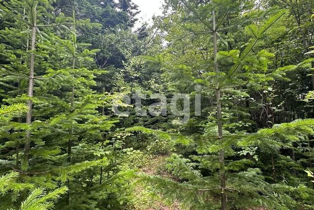 ул Охотская городской округ Южно-Сахалинск фото