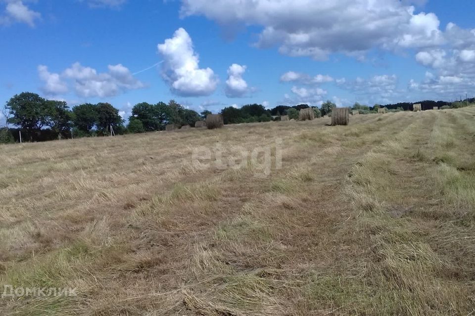 земля р-н Зеленоградский посёлок Кудринка фото 1