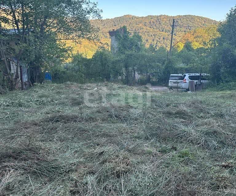 земля г Сочи с Пластунка городской округ Сочи, садоводческое товарищество Лира фото 1