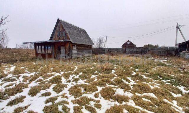 деревня Сосновка фото