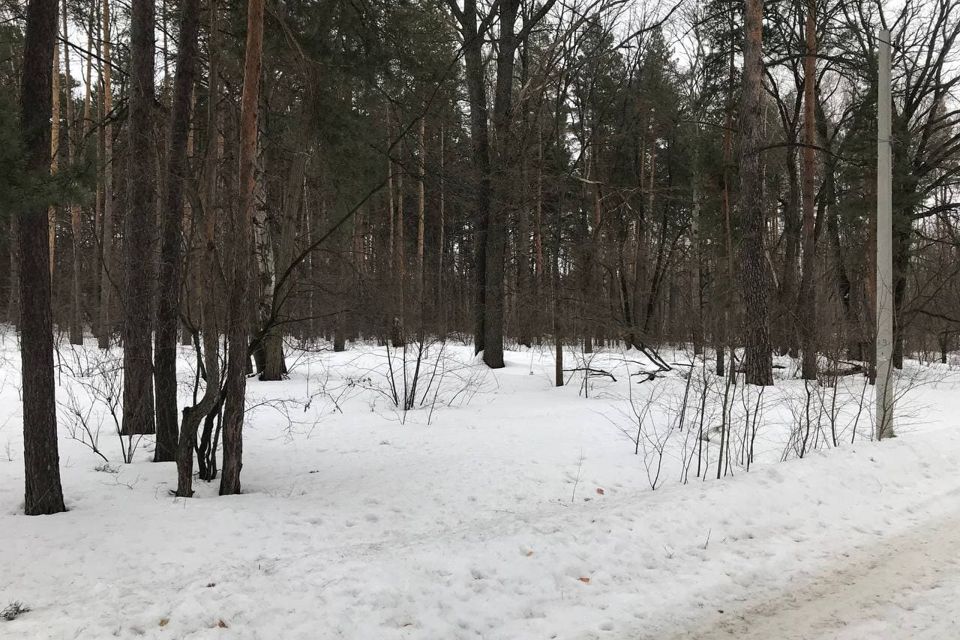 земля городской округ Тамбов, посёлок Тригуляй фото 3