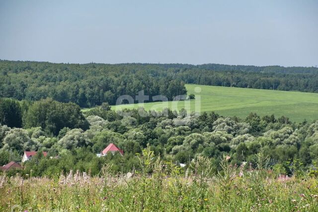 село Домнино фото