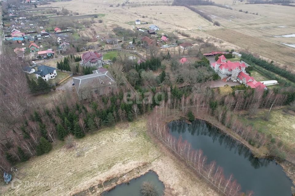 земля р-н Зеленоградский посёлок Моховое фото 5