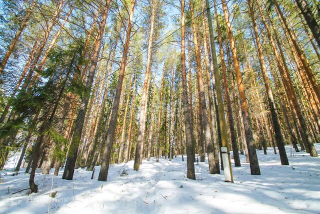 земля посёлок Таватуй фото