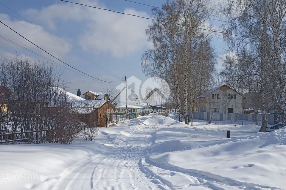 земля р-н Новосибирский садовое товарищество Калинка фото 8