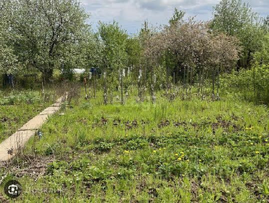 земля р-н Пермский снт Политехник-2 городской округ Пермь, 139 фото 1