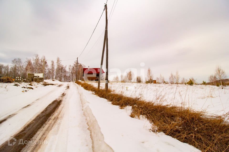 земля р-н Березовский ДНТ Чёрная Сопка фото 1