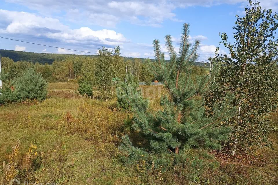 земля городской округ Калуга, деревня Воровая фото 7