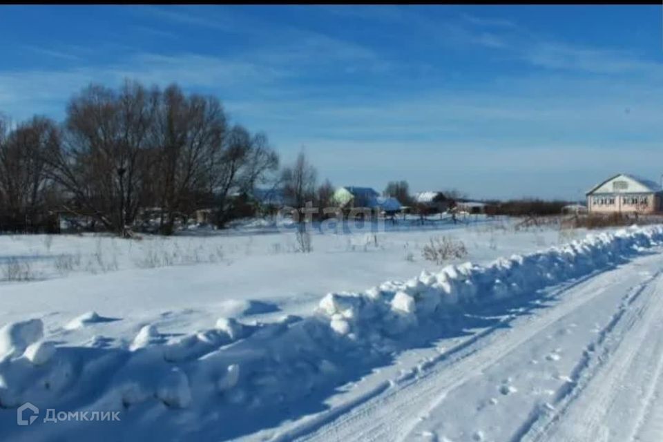 земля р-н Юргинский деревня Зимник фото 4