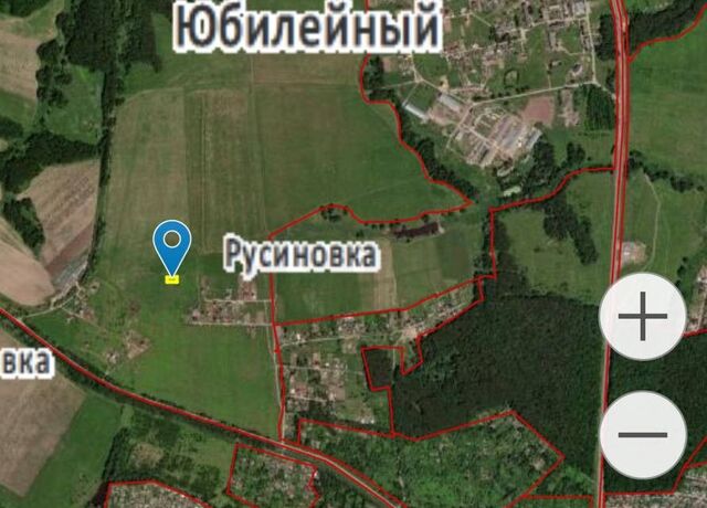 земля деревня Русиновка фото