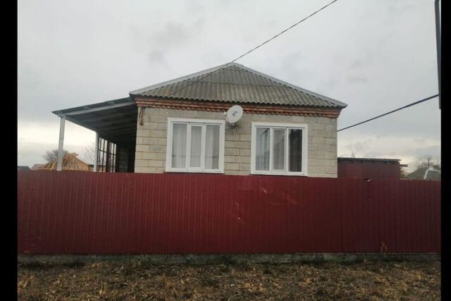 станица Старонижестеблиевская фото