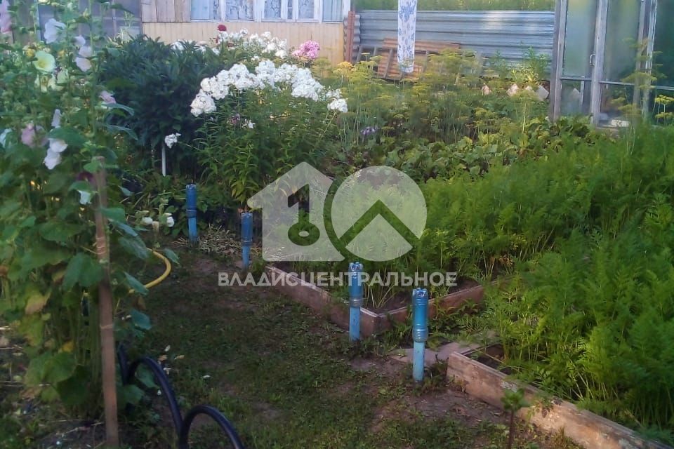 земля г Новосибирск садоводческое товарищество Любитель, городской округ Новосибирск фото 1