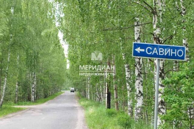 городской округ Бор, деревня Савино фото