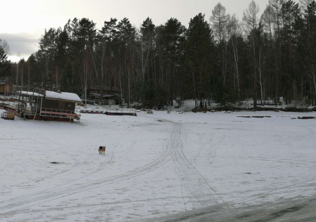 земля г Дивногорск фото 2