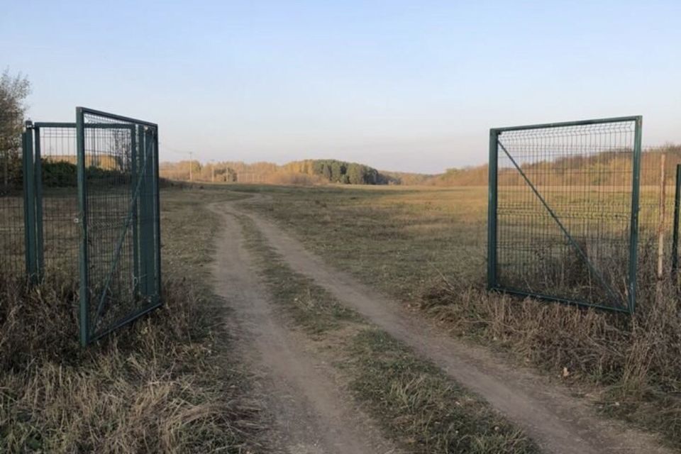 земля р-н Пестречинский садоводческое некоммерческое товарищество Пестречинское фото 8