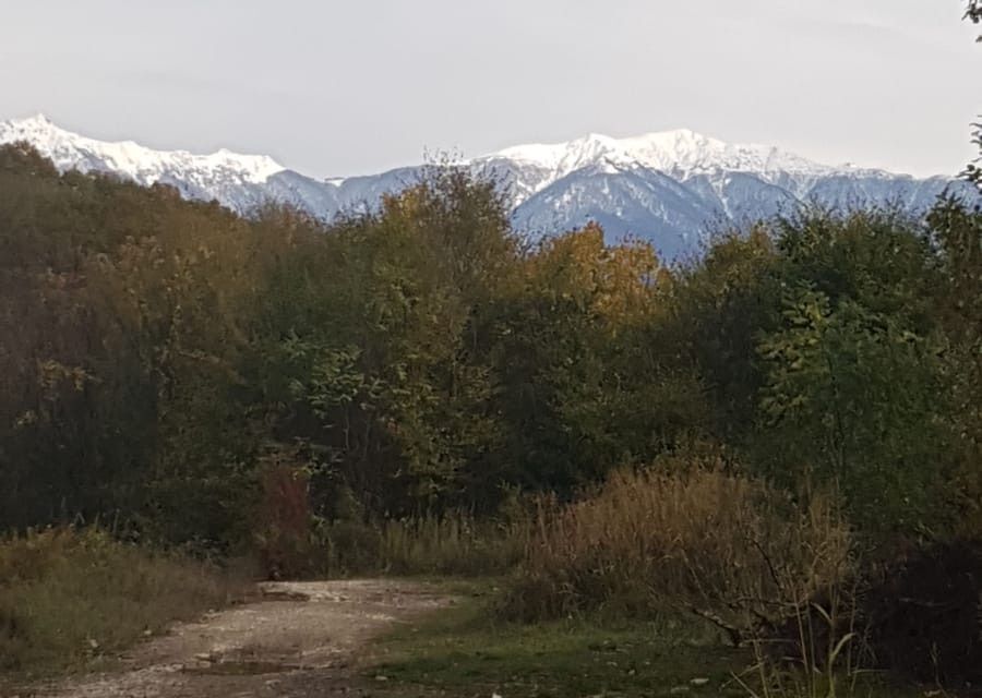 земля г Сочи городской округ Сочи, микрорайон Молдовка фото 5