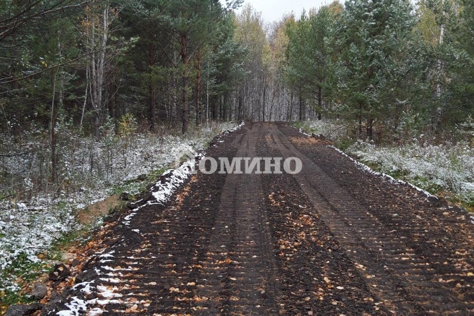 земля р-н Нижнетавдинский СНТ Суюндкуль фото 9