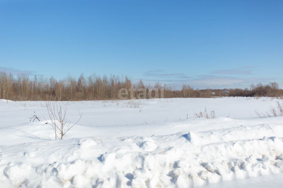 земля р-н Тобольский д Ломаева ул Центральная 11 фото 5