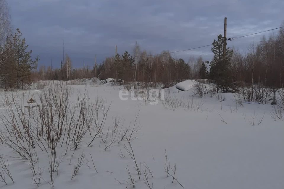 земля г Асбест ул Лесная Асбестовский городской округ фото 2