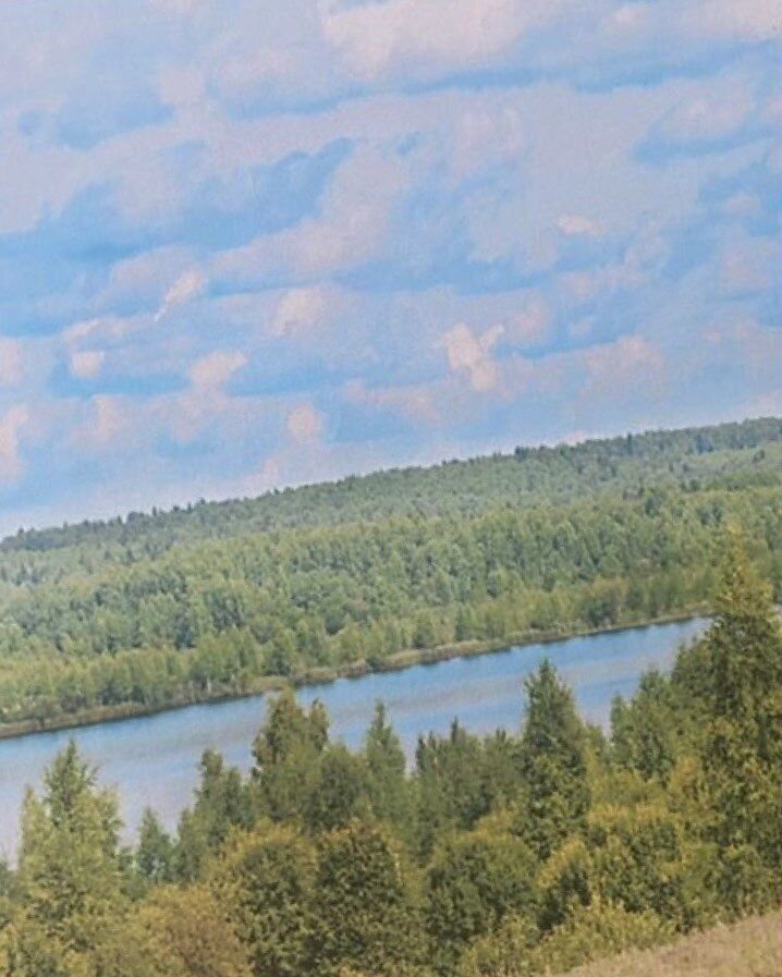 земля г Ярославль снт Дачное некоммерческое товарищество Заповедное озеро, Переславль-Залесский фото 8