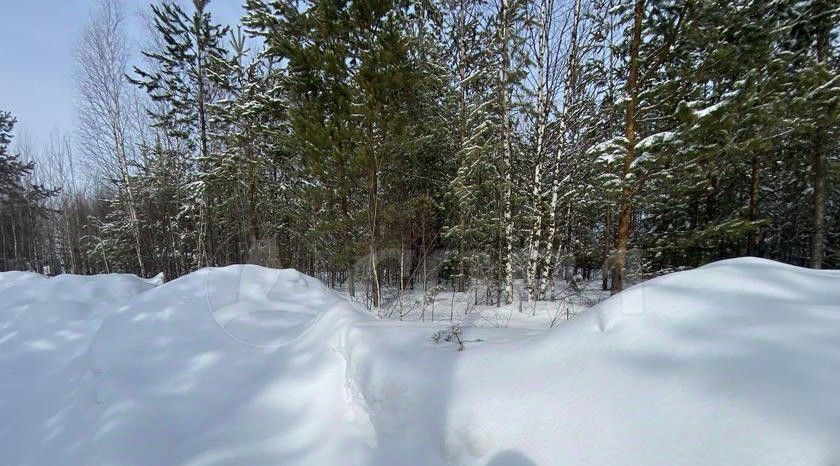 земля г Сургут ст терN 56 Приозерное 111 фото 3