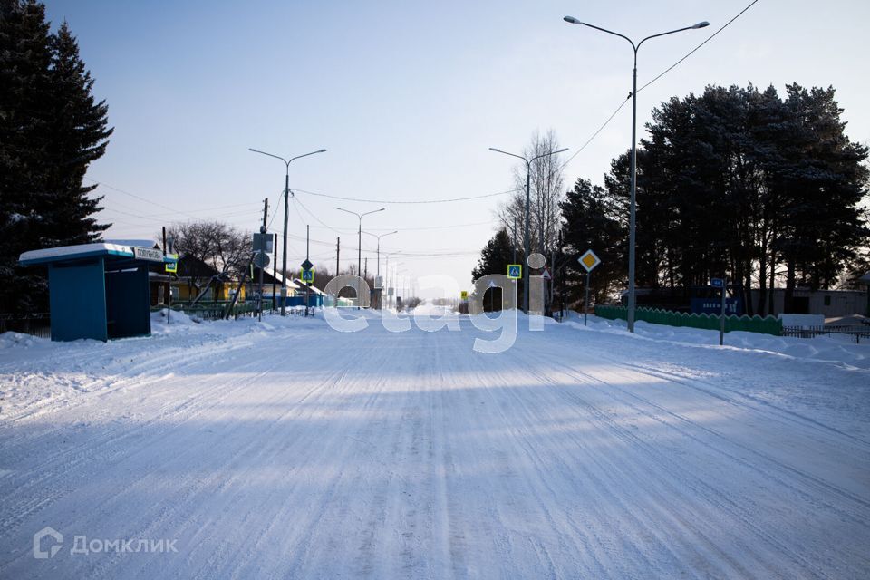 земля р-н Тобольский деревня Полуянова фото 7