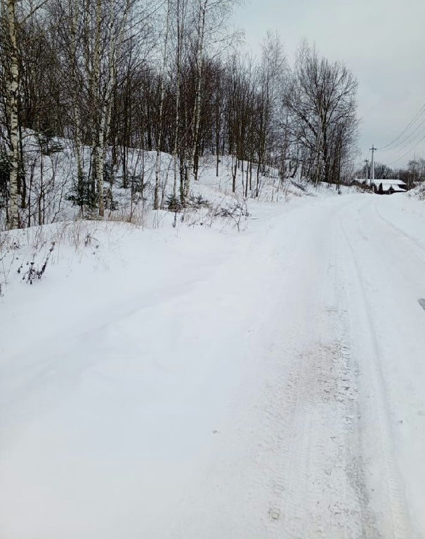 земля городской округ Солнечногорск д Лунёво фото 6