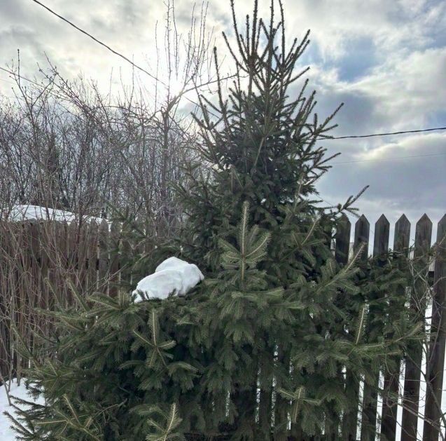 дом р-н Кетовский с Кетово снт Ласточка ТСН фото 19