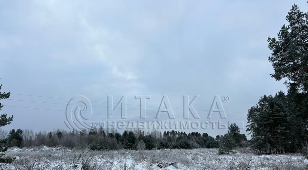 офис р-н Лодейнопольский д Шамокша Лодейнопольское городское поселение, 16 фото 8