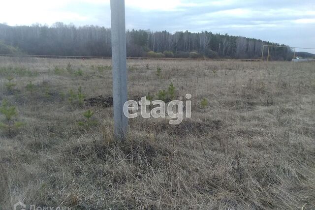 земля городской округ Миасс фото