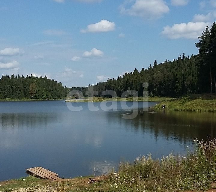 земля р-н Менделеевский с Новый Кокшан ул Ушковых фото 6