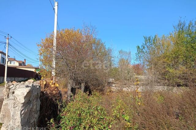 СНТ Берёзка, городской округ Благовещенск фото