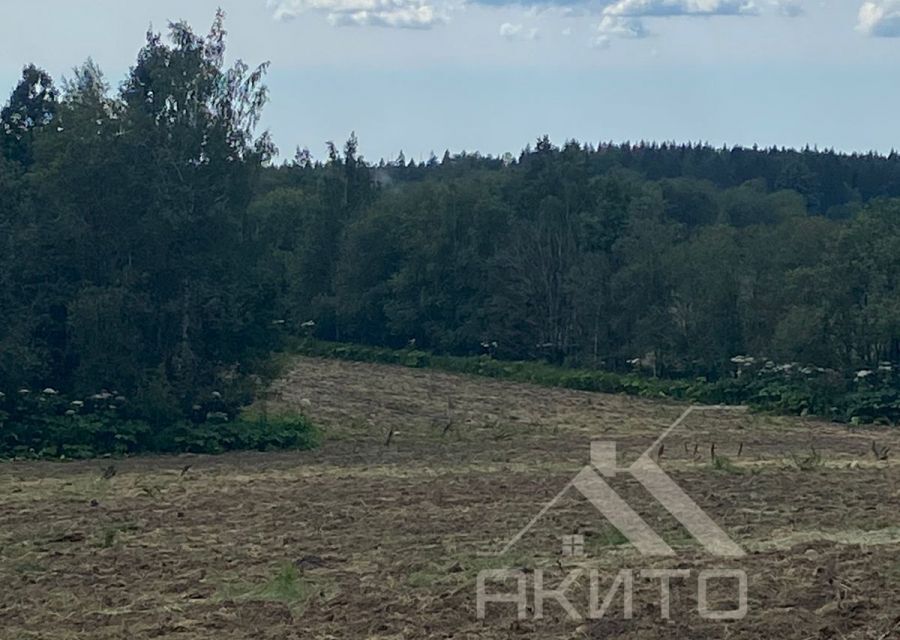 земля р-н Выборгский п Ленинское 2 фото 4