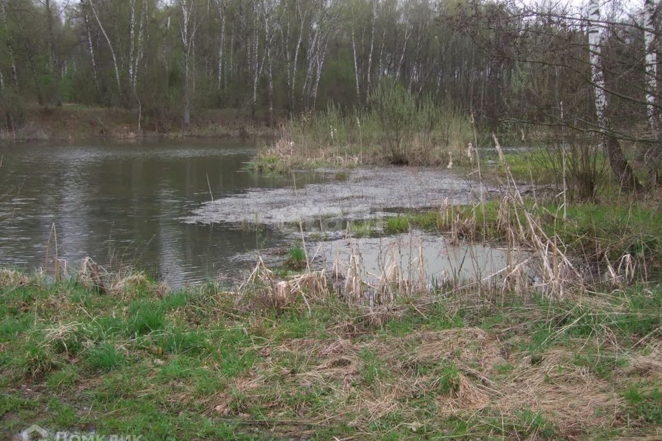 земля городской округ Домодедово деревня Бехтеево фото 8