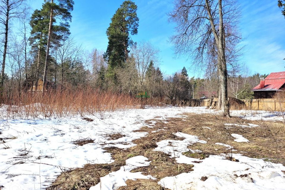 земля г Королев городской округ Королёв, Краснооктябрьская улица, 36 фото 1