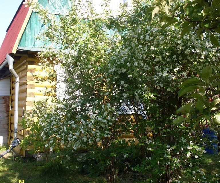дом р-н Лужский п Мшинская садоводческое некоммерческое товарищество Прогресс фото 7