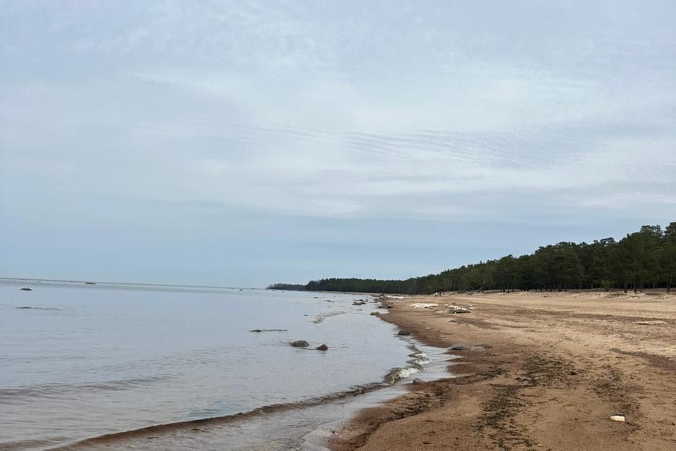 земля р-н Кировский п Дачное Сосновоборский городской округ, некоммерческое товарищество собственников недвижимости Приморский, Г 5 фото 7