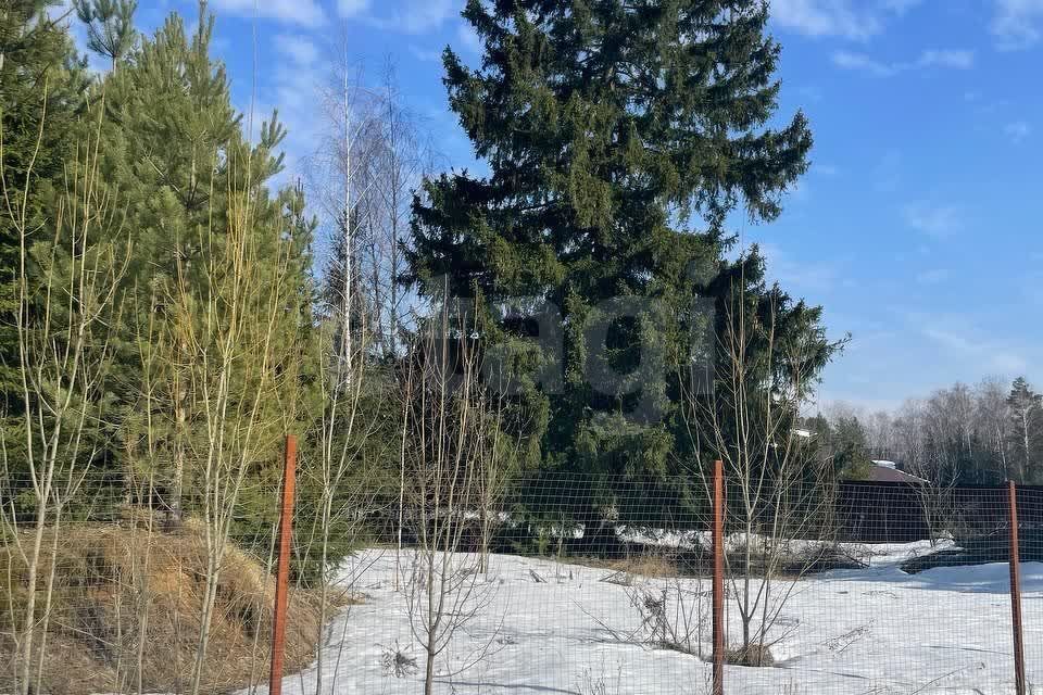 земля городской округ Красногорск с Николо-Урюпино садоводческий кооператив Липка фото 1