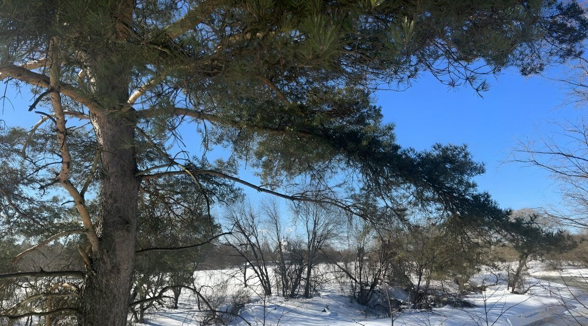 земля городской округ Щёлково д Каблуково ул Речная фото 4