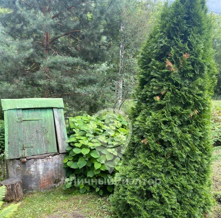 дом р-н Скопинский с Павелец ул Лопатино 124 Павелецкое городское поселение фото 6