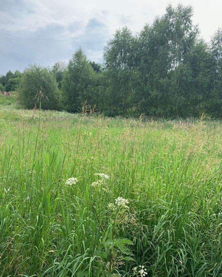 земля городской округ Дмитровский п Муханки Деденево фото 3