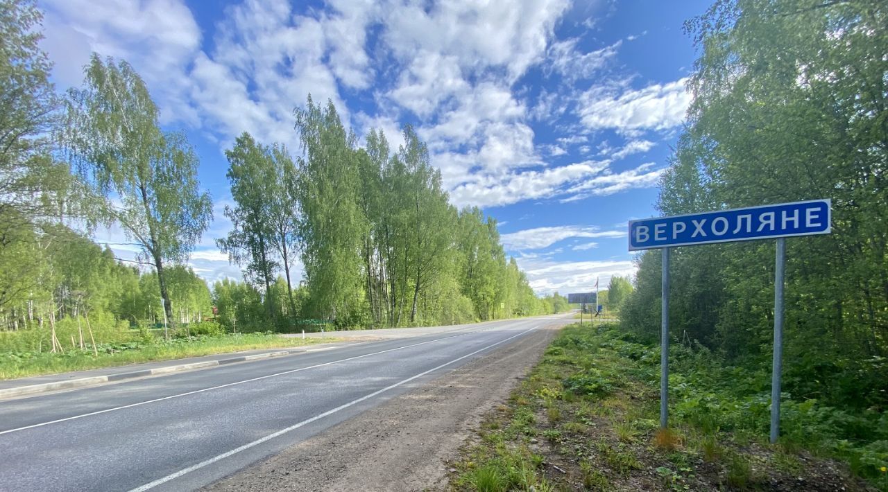 дом р-н Гдовский г Гдов д Верхоляне-1 муниципальное образование фото 38