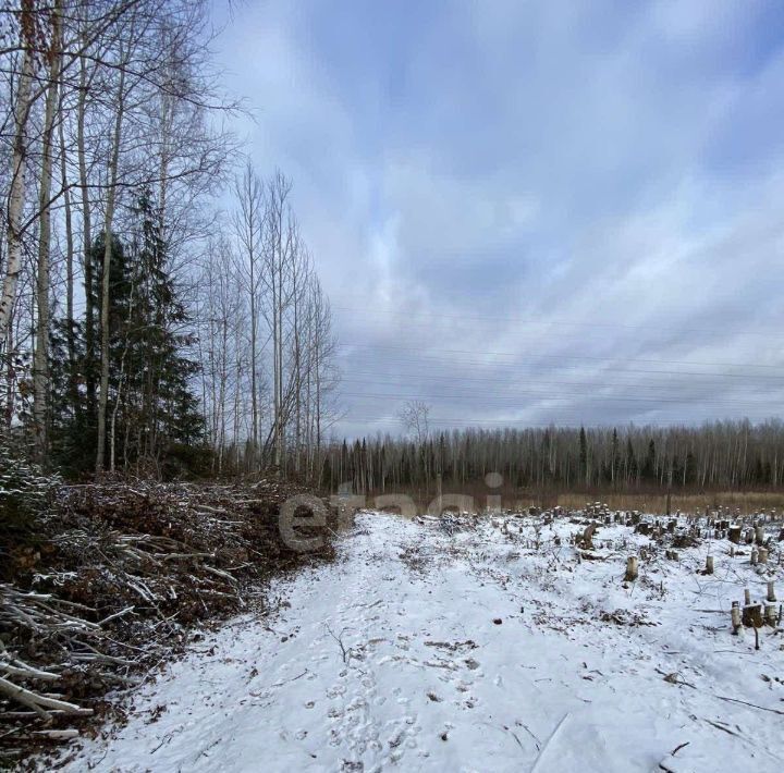 земля г Ханты-Мансийск снт Дружба СОТ фото 5