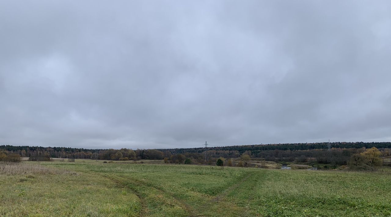 земля направление Белорусское (запад) ш Минское 133-й км, Можайский городской округ фото 6