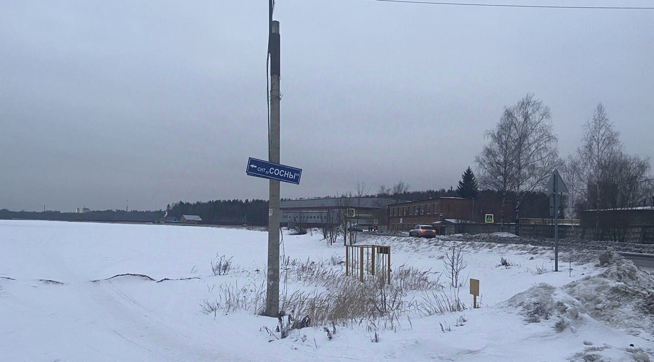 земля городской округ Богородский д Починки фото 3