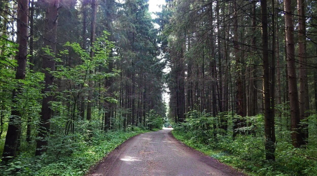 земля городской округ Рузский д Староникольское фото 1