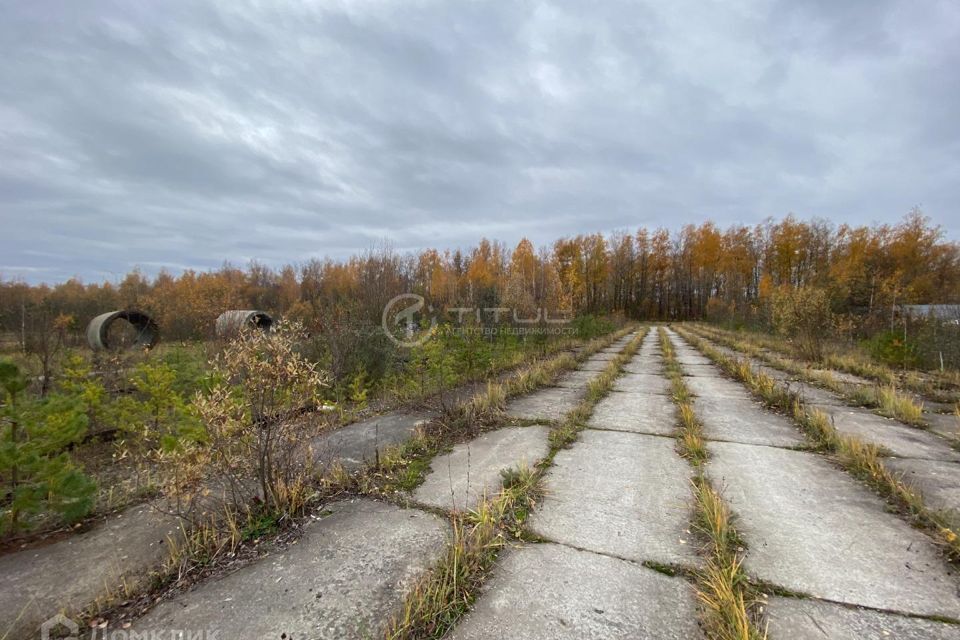 земля р-н Дзержинский д Жилетово ул Солнечная фото 8