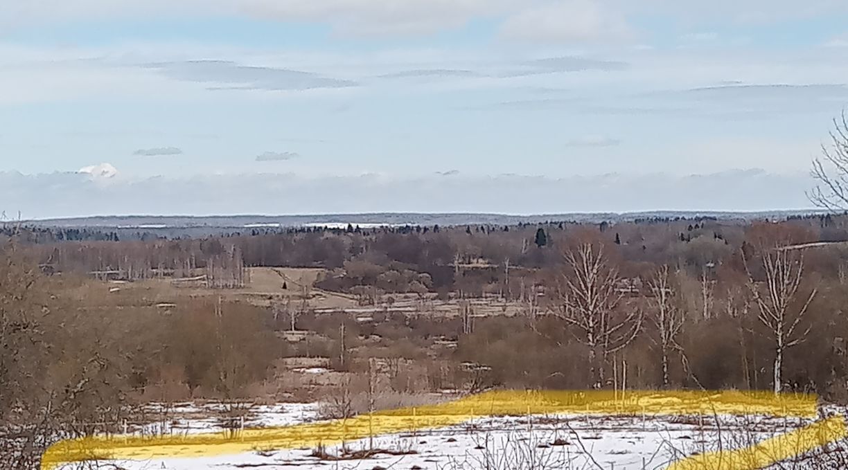 земля городской округ Волоколамский д Большое Петровское ул Большая 17а фото 1